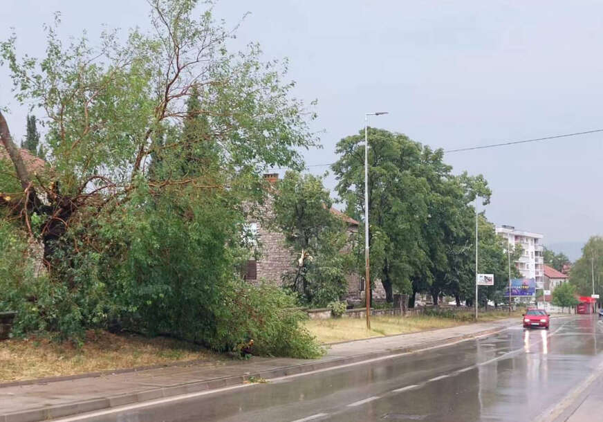 (FOTO) Nevreme paralisalo Srbiju: Vjetar ČUPAO DRVEĆA, stabla padala na vozila