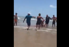 (VIDEO) Izvlačili je spasioci: Ženu NAPALA AJKULA na poznatoj plaži