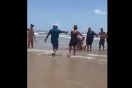 (VIDEO) Izvlačili je spasioci: Ženu NAPALA AJKULA na poznatoj plaži