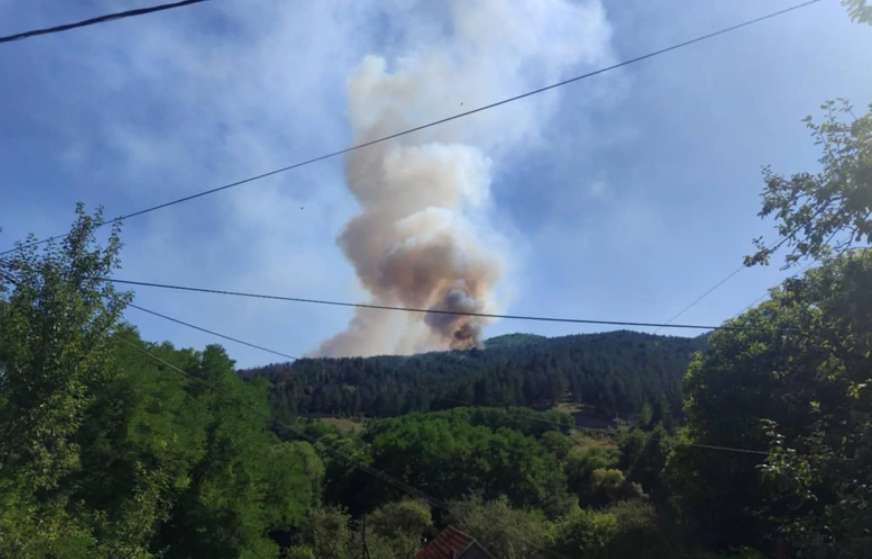 BUKTI OGROMAN POŽAR NA GOLIJI Gust dim uzdiže se u blizini manastira Gradac