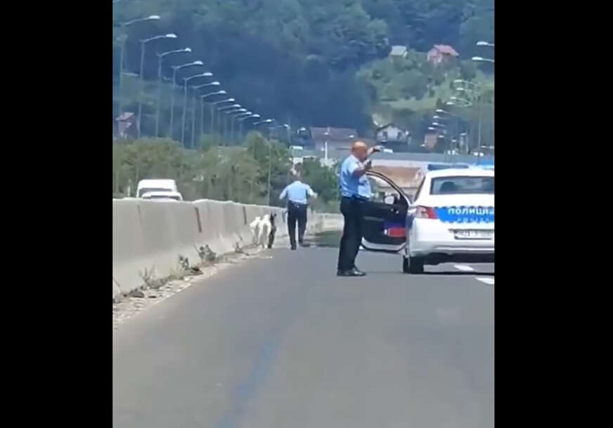 Policajac trči za kozama
