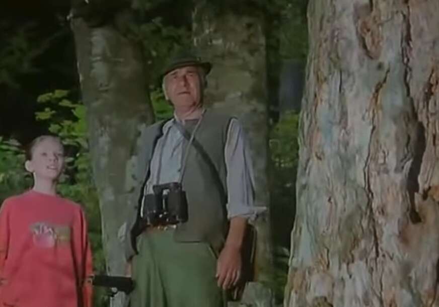 Ptice koje ne polete