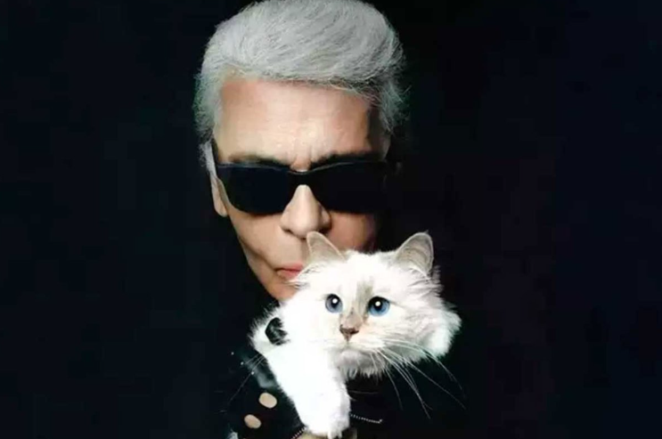 SPECIFIČAN STIL ŽIVOTA Karl Lagerfeld želio oženiti svoju mačku, modni kreator životinji ostavio BRDO PARA