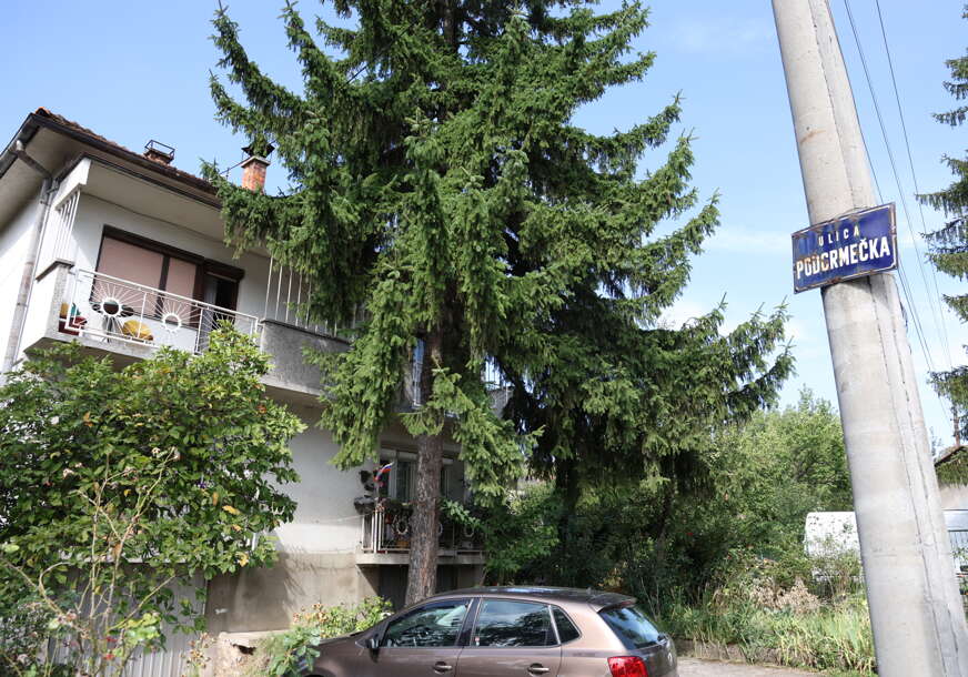 Podgrmečka ulica