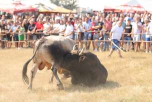 FOTO: SINIŠA PAŠALIĆ/RINGIER