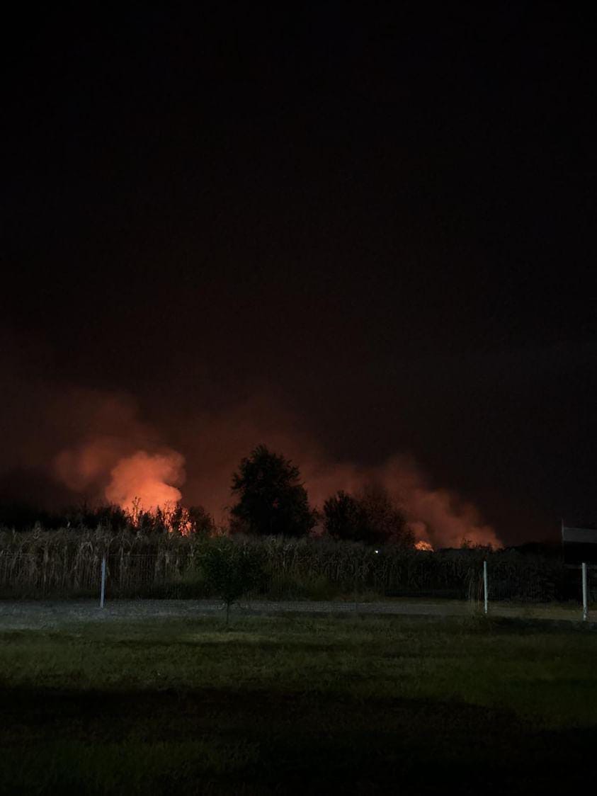FOTO: NEMANJA NEDAKOVIĆ/USTUPLJENA FOTOGRAFIJA