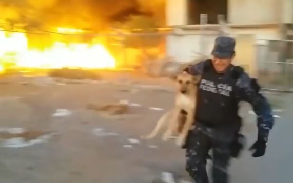 policajac spasio psa iz požara