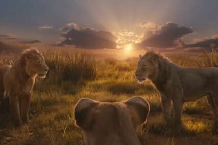 Mufasa: Kralj lavova