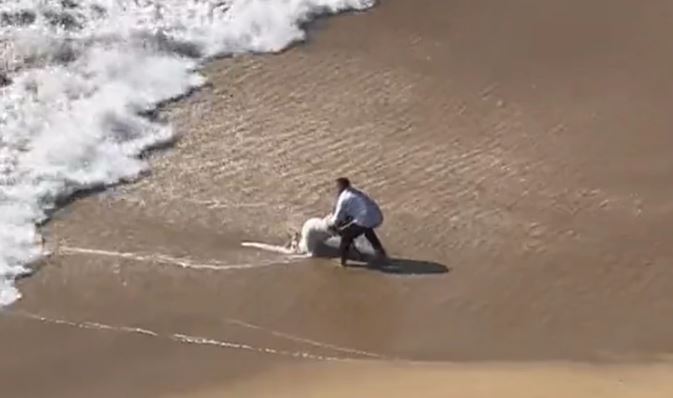 talas povukao mladence dok su se fotografisali na plaži