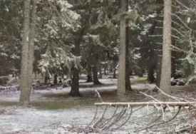 MAJ DONIO SNIJEG Kopaonik pod pahuljama, hladno i na Zlatiboru
