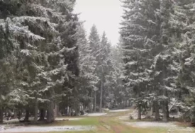 (VIDEO) PRVI SNIJEG VEĆ PAO Kopaonik osvanuo potpuno bijel, prizori kod pojedinaca izazvali oduševljenje