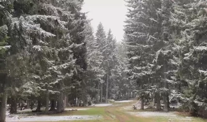 (VIDEO) PRVI SNIJEG VEĆ PAO Kopaonik osvanuo potpuno bijel, prizori kod pojedinaca izazvali oduševljenje