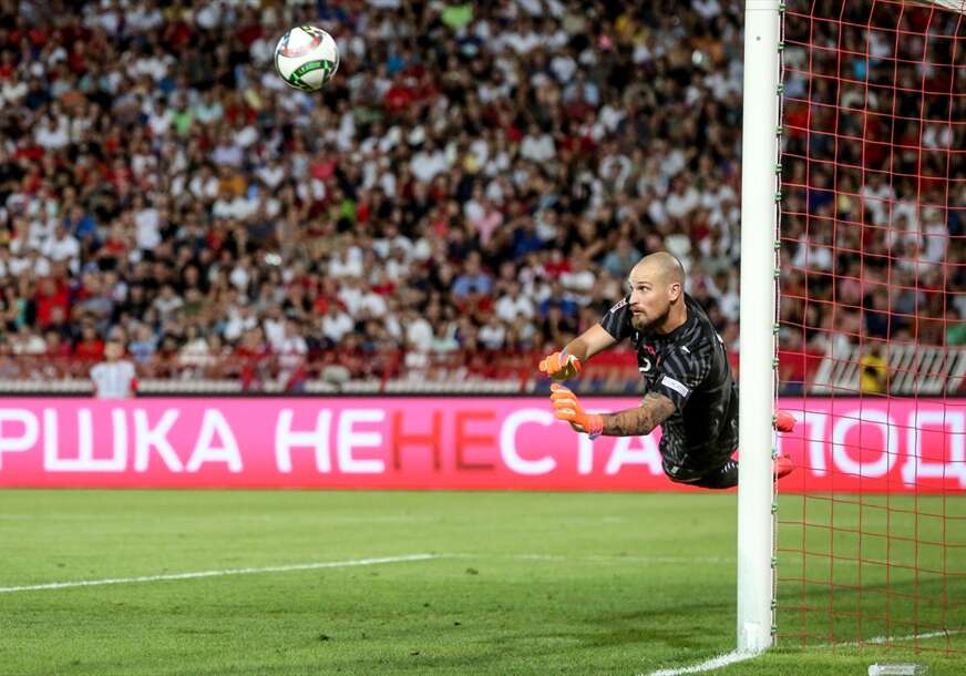 Predrag Rajković