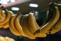 BANANE 