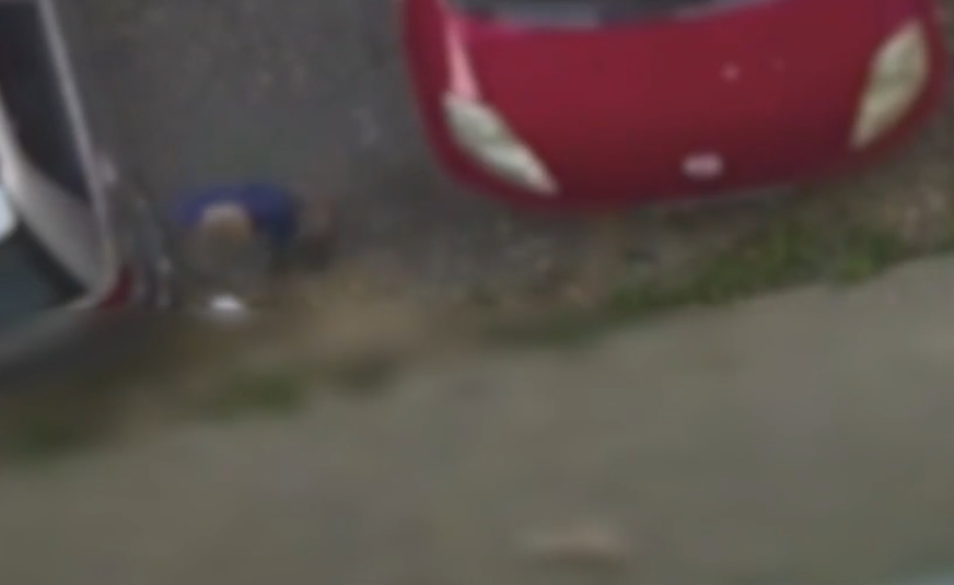"Šutnuo je u glavu kao loptu" Slučaj koji je POTRESAO cijelu zajednicu, dječak (10) ZLOSTAVLJAO MAČKU na jeziv način