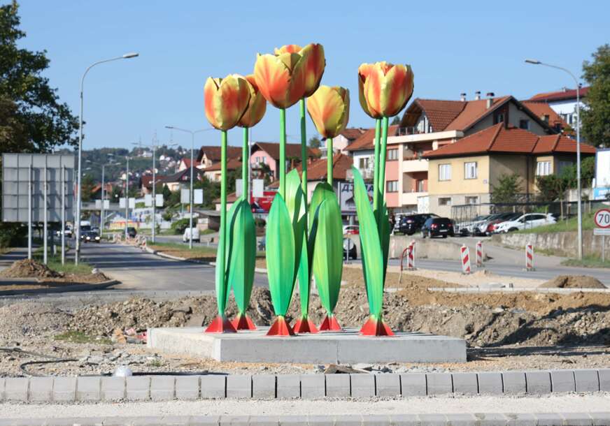 (VIDEO, FOTO) Još jedna neobičnost na sred raskrsnice: Sviđa li vam se 7 TULIPANA na budućem kružnom toku