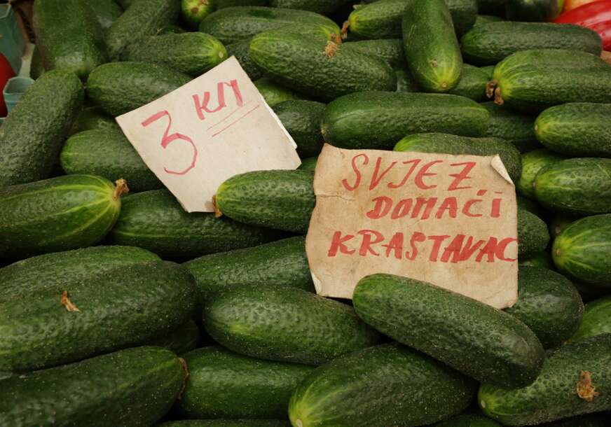FOTO: SINIŠA PAŠALIĆ/RINGIER