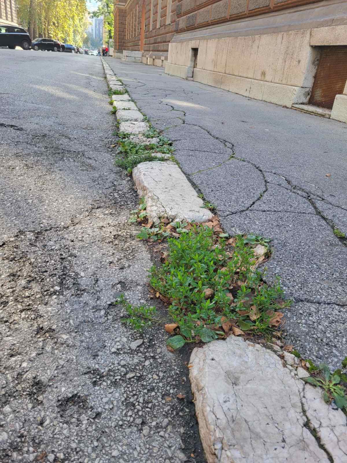 Oštećena ulica