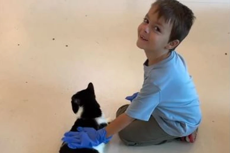 (VIDEO, FOTO) Luka (6) pokrenuo svoj biznis kako bi dobio mače "Ljude mrze da skupljaju pseći izmet, meni to ne smeta"