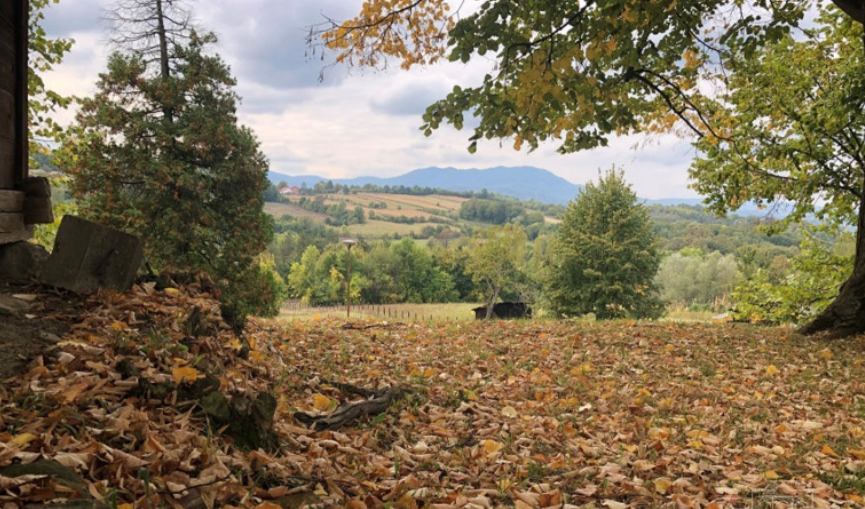 BISER SRPSKE Planina Majevica na putu da postane park prirode, otkriveni fosili stari milionima godina