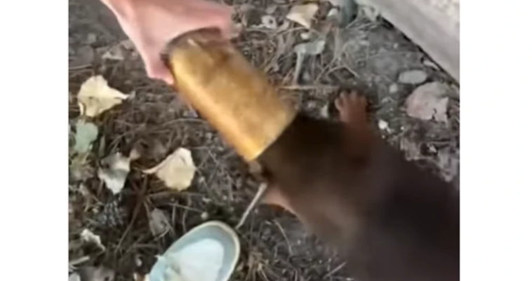 (VIDEO) "Bravo braćo, vi ste pravi ljudi" Momci ugledali štene ZAGLAVLJENO U KONZERVI, pa ga spasli od sigurne smrti