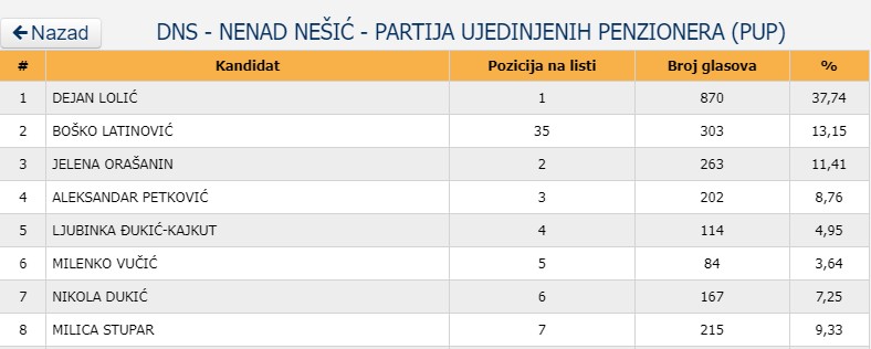 lokalni izbori 2024 - DNS