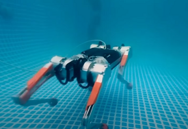 (VIDEO) DA LI BISTE MU SJELI U STOLICU? Mini robot precizno obrađuje zube bez pomoći zubara