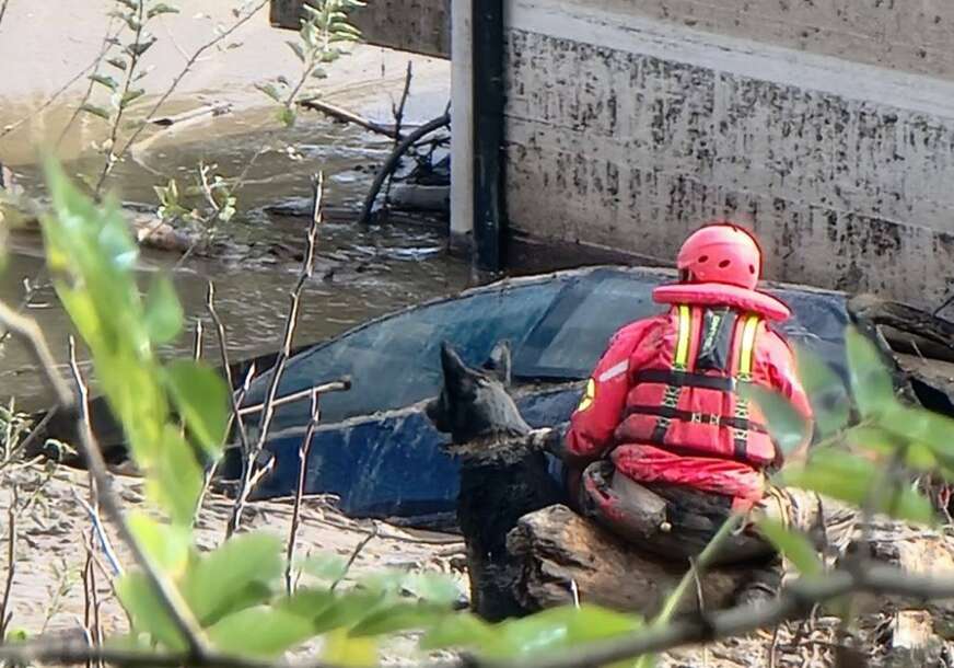 “MOŽE DA ZAMIJENI 30 LJUDI” U potrazi u Jablanici učestvuje i ženka Zara iz Hrvatske