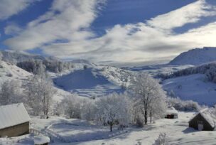 FOTO: USTUPLJENA FOTOGRAFIJA