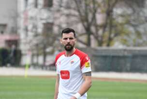 Đorđe despotović fk borac