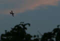 mali avion 