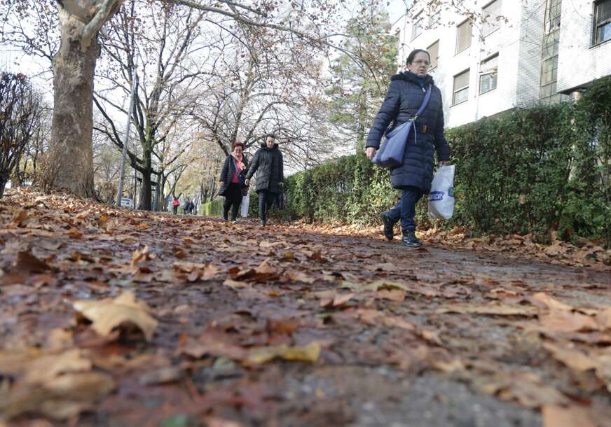 Lišće i blato na trotoaru 
