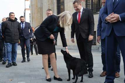 (VIDEO) I CRNA NJUŠKICA SE UMIJEŠALA Željka Cvijanović pomazila psa lutalicu ispred Palate Republike tokom proslave Trampove pobjede