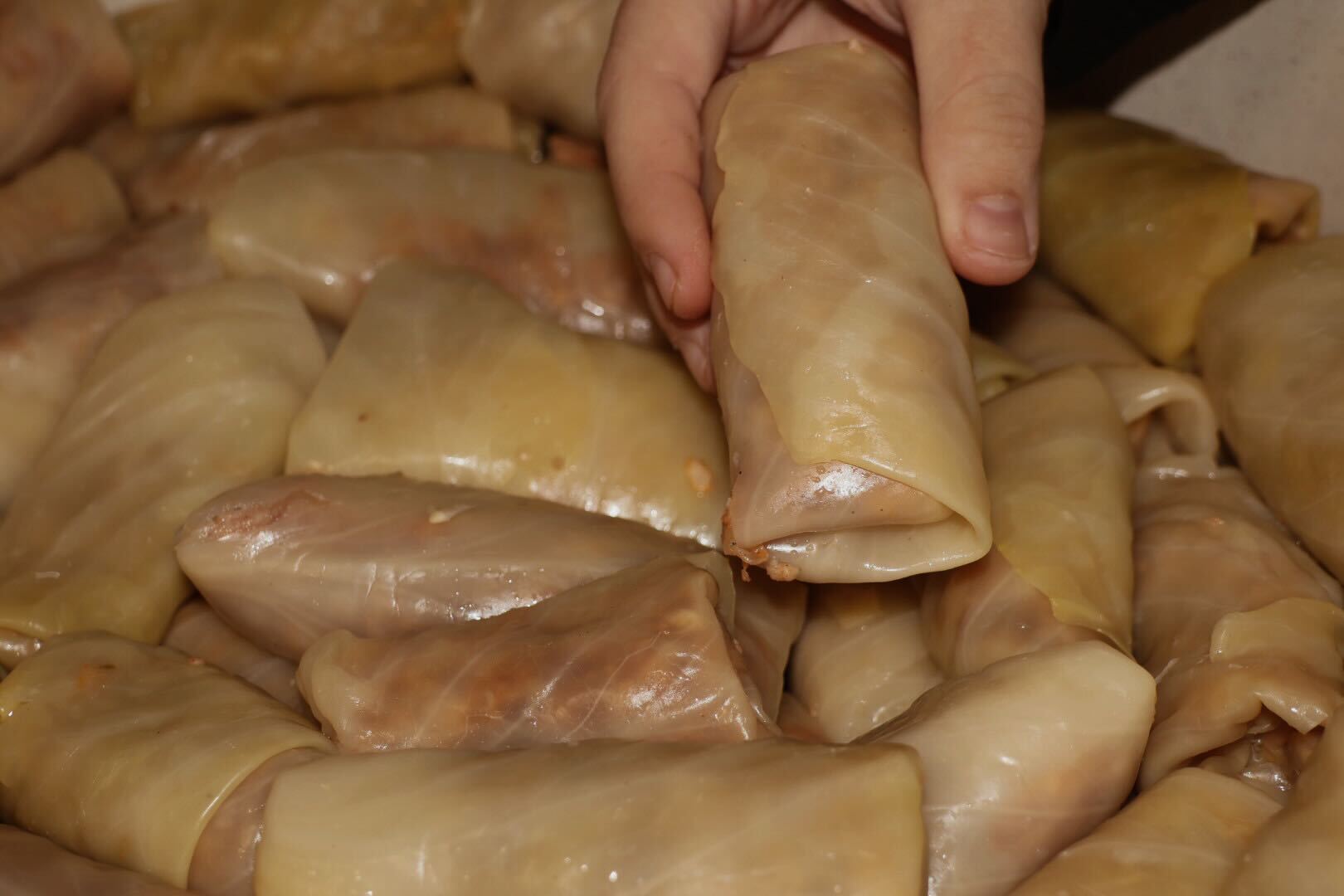 Sarma, evo kako se pravilno kuva