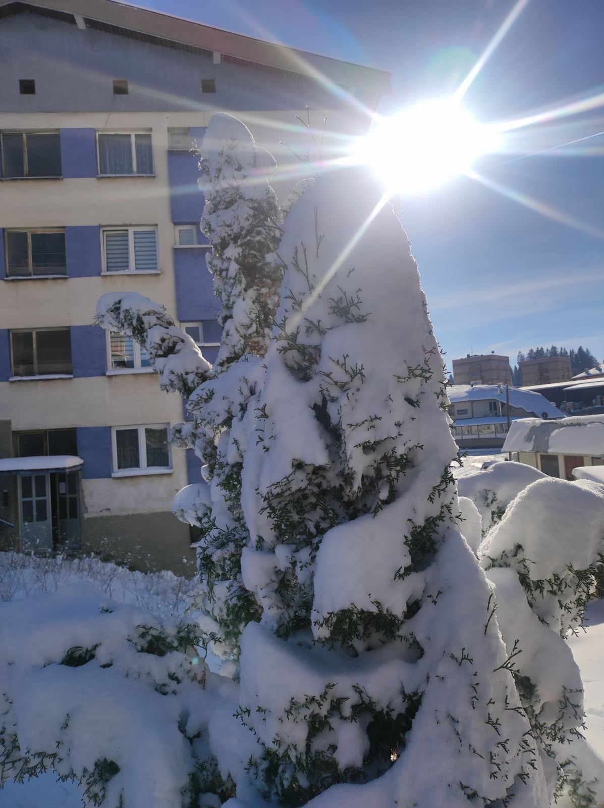 FOTO: USTUPLJENA FOTOGRAFIJA