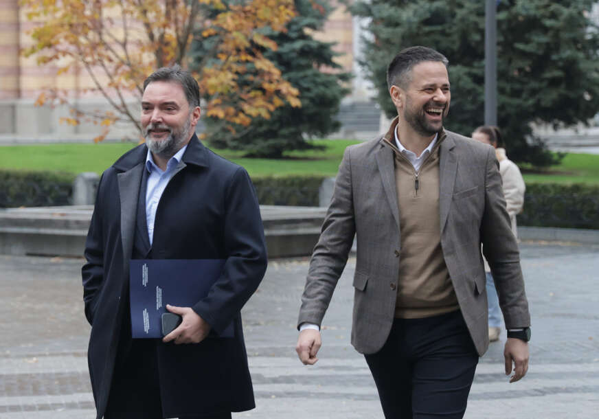 STAŠA KOŠARAC I SRĐAN AMIDŽIĆ MINISTRI U SAVJETU MINISTARA BIH 