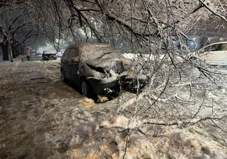 FOTO: SANJA KRASIĆ BOŽIĆ