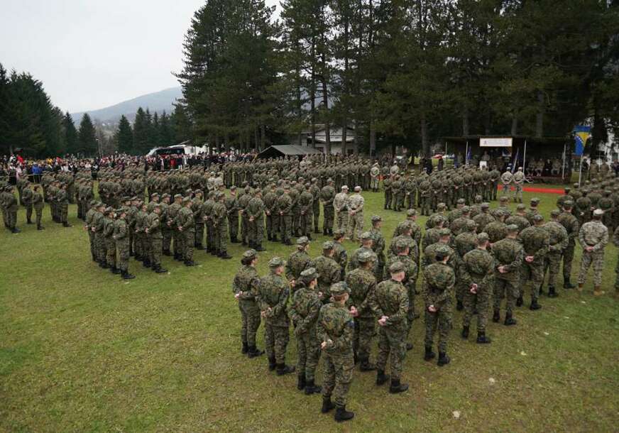 os bih