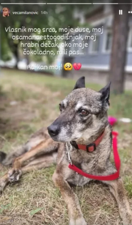 FOTO: DRUŠTVENE MREŽE/SCREENSHOT