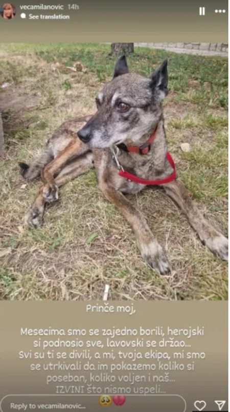 FOTO: DRUŠTVENE MREŽE/SCREENSHOT