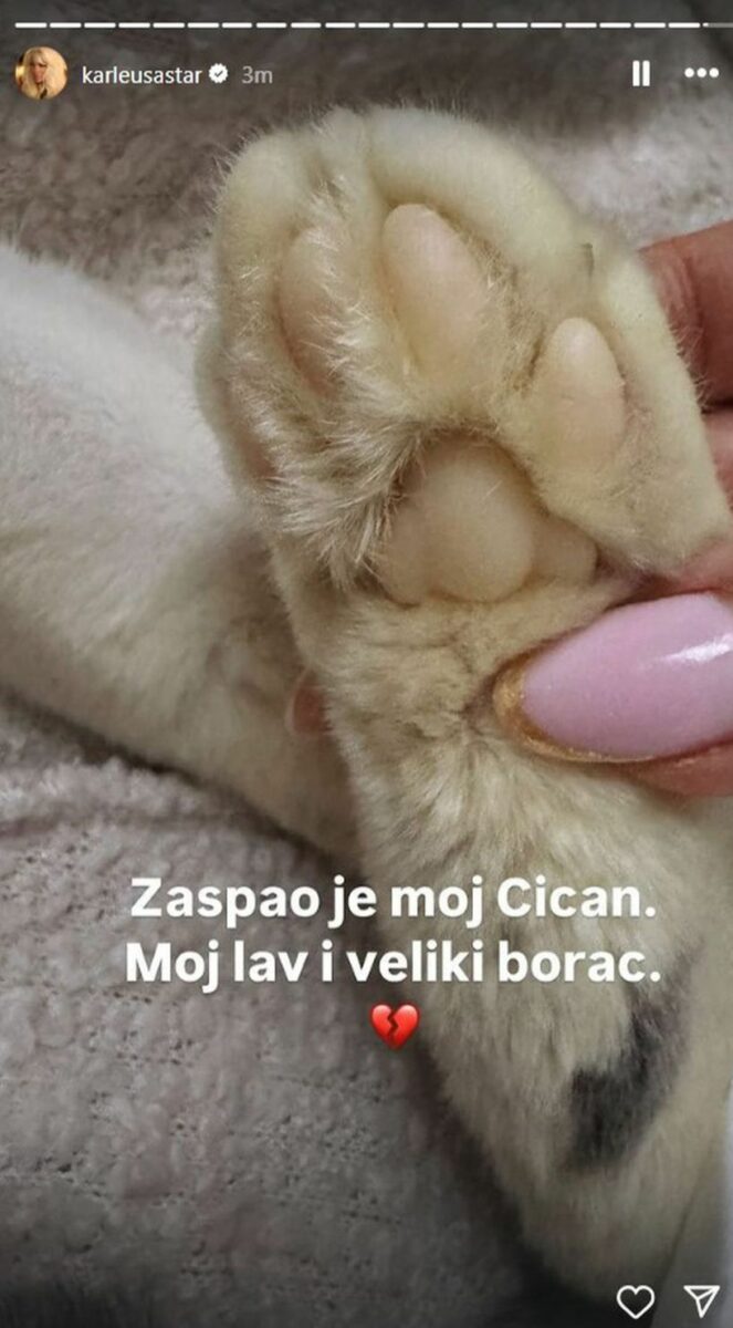Emotivna poruka Jelena Karleuše