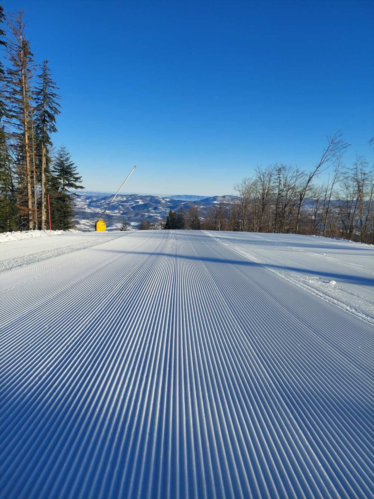 FOTO: USTUPLJENA FOTOGRAFIJA