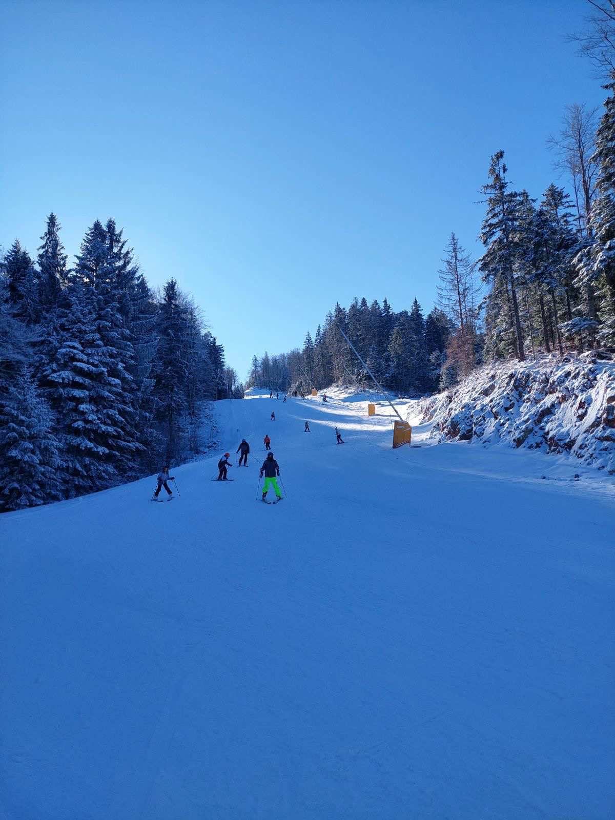 FOTO: USTUPLJENA FOTOGRAFIJA