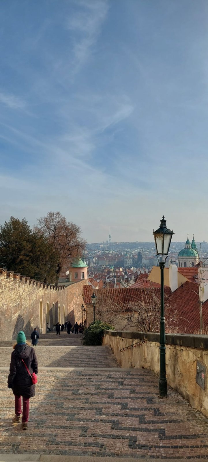 FOTO: USTUPLJENA FOTOGRAFIJA