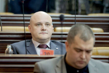 DEJAN SEJMANOVIĆ ODBORNIK US 