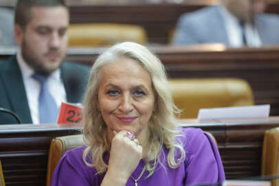 nevena todorović odbornik snsd-a