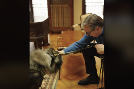 (VIDEO) "On je moj VJERNI ČUVAR" Vučić objavio snimak sa simpatičnim psom kojeg je dobio od patrijarha Porfirija
