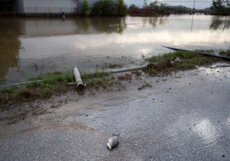 Ponovo haos u Grčkoj: Oluja, POPLAVE I KLIZIŠTA razorile Kefaloniju