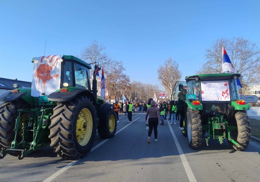 FOTO: ZLATKO ČONKAŠ / RINGIER