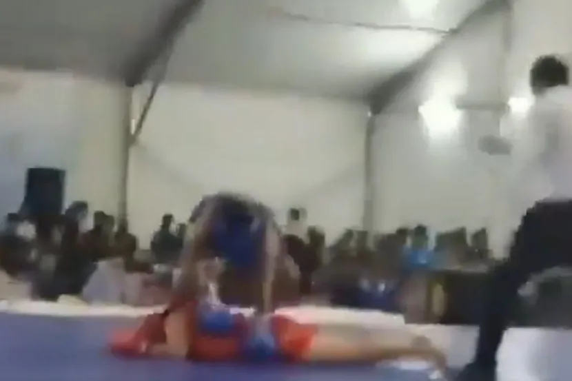 mma borac